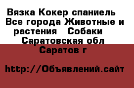 Вязка Кокер спаниель - Все города Животные и растения » Собаки   . Саратовская обл.,Саратов г.